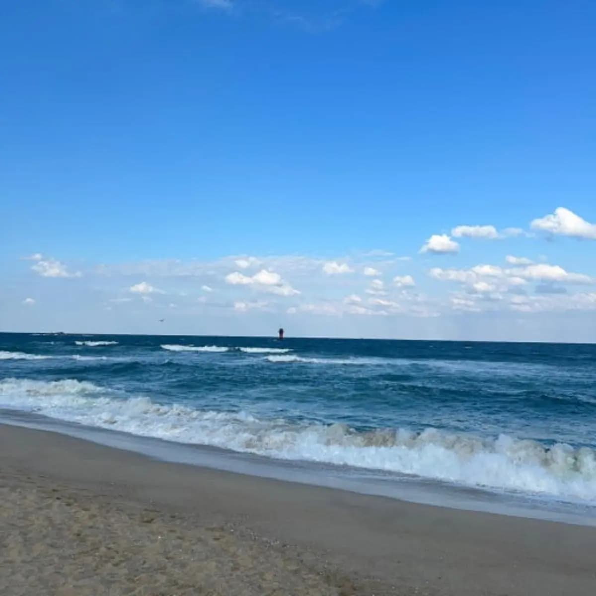 강릉 맛집 BEST 3, 현지인이 강추하는 진짜 맛집